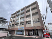 サニーヴィラジェミーの画像