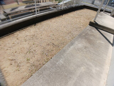 【庭】 | パークサイド１ | お庭です