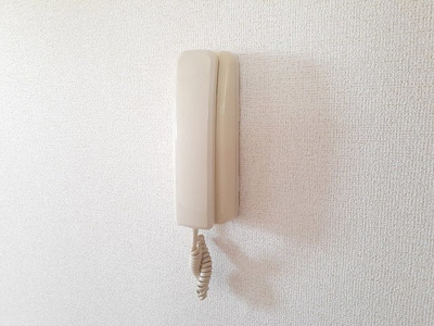 【その他】 | アムラインＢ