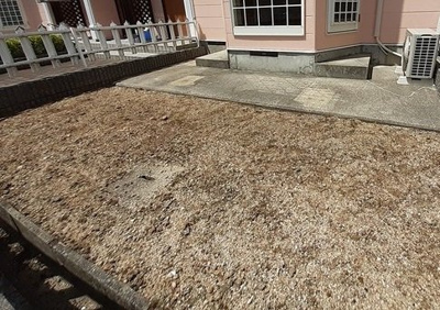 【その他】 | アムラインＢ