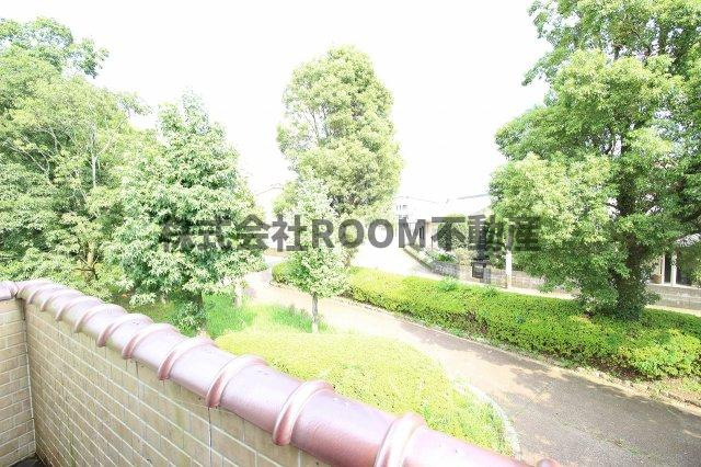 アンティークペットⅡの展望