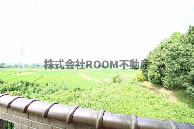 アンティークペットⅡの展望