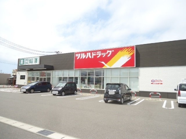 プリンセス　ヒルズの周辺|ツルハドラッグ　柏崎幸町店まで1100m