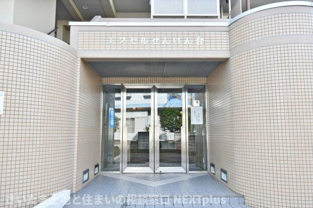 エクセルせんげん台のエントランス|当社はポータルサイト掲載物件、他社様掲載物件なども含めて複数物件をまとめてご案内可能です！気になる物件はいくつでもご気軽にお申し付けください。皆様のご連絡心よりお待ちしております。