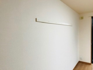 レガリーニのその他|ハンガーモール