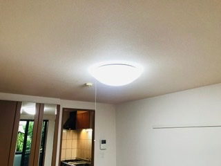 レガリーニのその他|照明