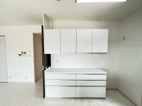 熊本市中央区水前寺公園の賃貸マンションのキッチン