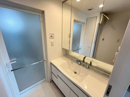 熊本市中央区水前寺公園の賃貸マンションの独立洗面台