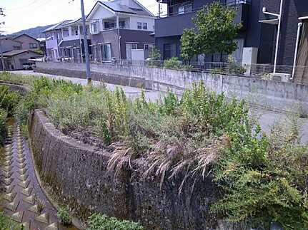 安芸郡熊野町城之堀１丁目 土地の外観