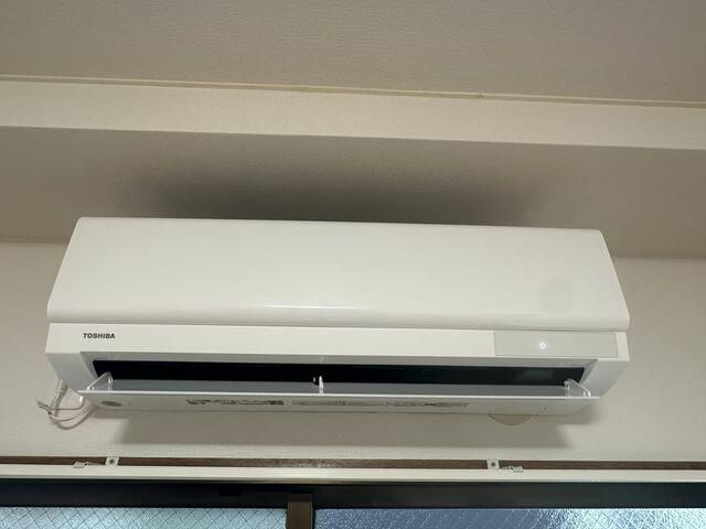 シャンクローネタウエモンのその他