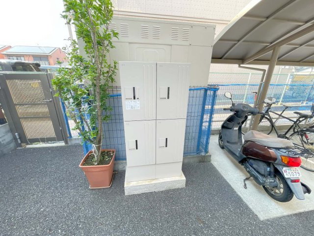 SanAnfieldaのその他