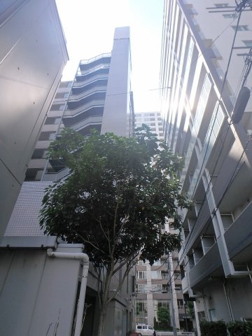 メゾン文京関口Ⅱの外観