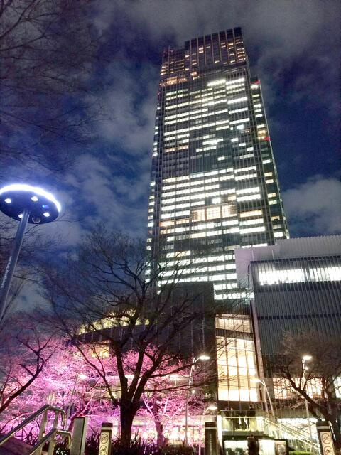 パークコート赤坂檜町ザタワーの外観パース|ガレリアまで319m