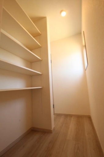 香南市野市町西野　新築戸建　西棟（全2区画）の収納|2Ｆ　ホール