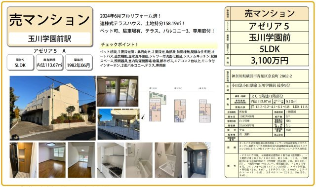 アゼリア5【仲介手数料無料】の間取り