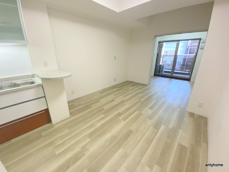 マスターズレジデンス道頓堀Ⅱ　仲介手数料無料の居間・リビング