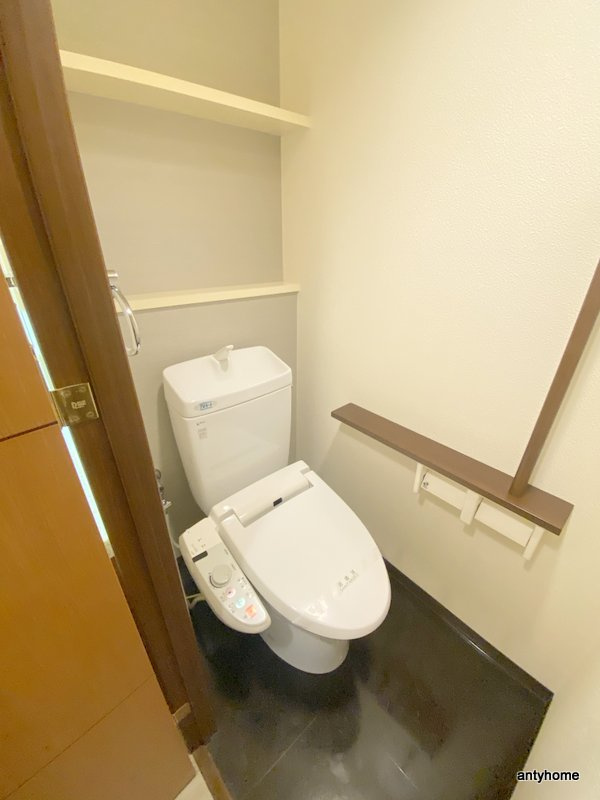 マスターズレジデンス道頓堀Ⅱ　仲介手数料無料のトイレ