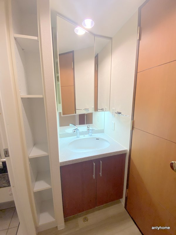 マスターズレジデンス道頓堀Ⅱ　仲介手数料無料の洗面所