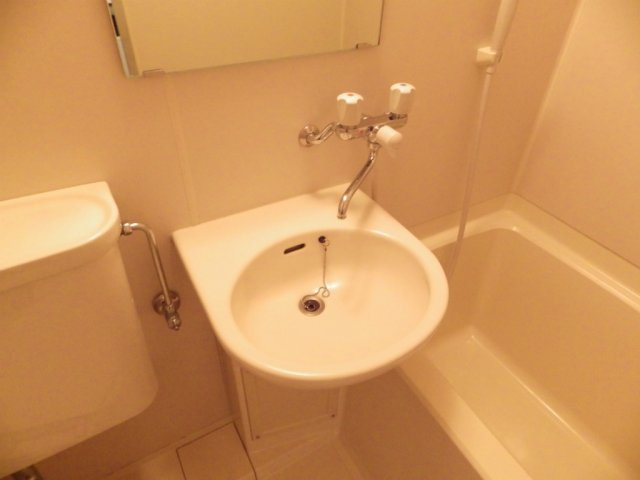 ノーブル・イズミの洗面所