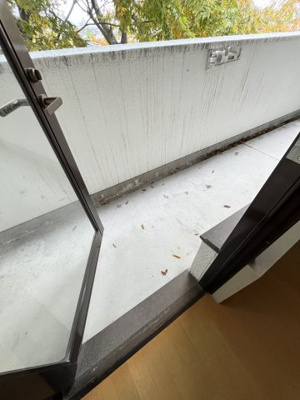 【バルコニー】 | ラ・メゾン・スカイ