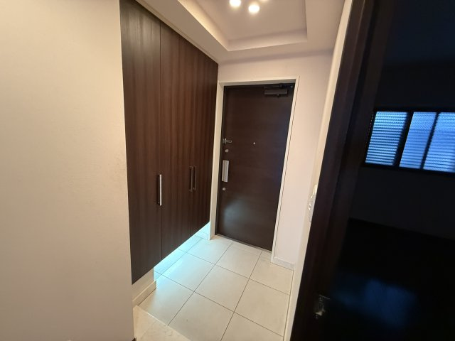 豊中市新千里南町３丁目の賃貸マンションの玄関