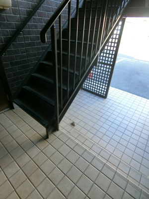 【その他共用部分】 | リバーポートユウ