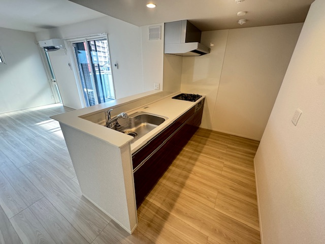 casa. FILANTE Ⅴのキッチン