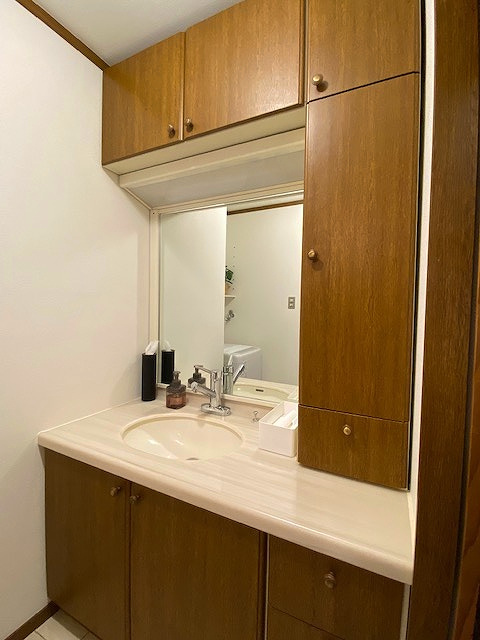 サニークレスト伊東の洗面所