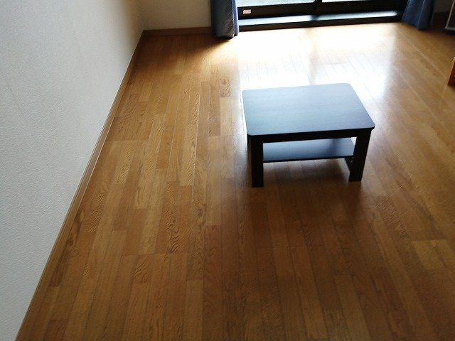 レオパレス出藍の居間・リビング