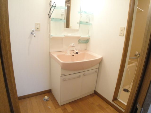 グリーンハウスの洗面所