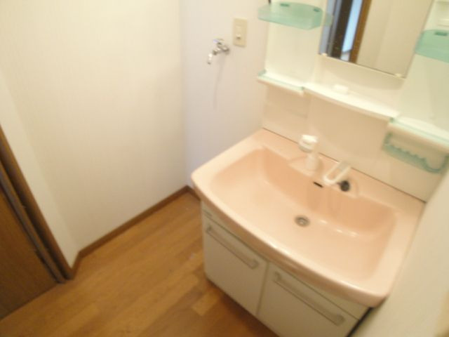 グリーンハウスの洗面所