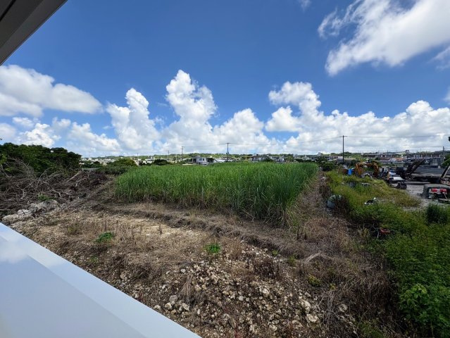 クレイドルガーデン糸満市宇江城 第2・3号棟の展望|ベランダからの展望／緑豊かな周辺環境