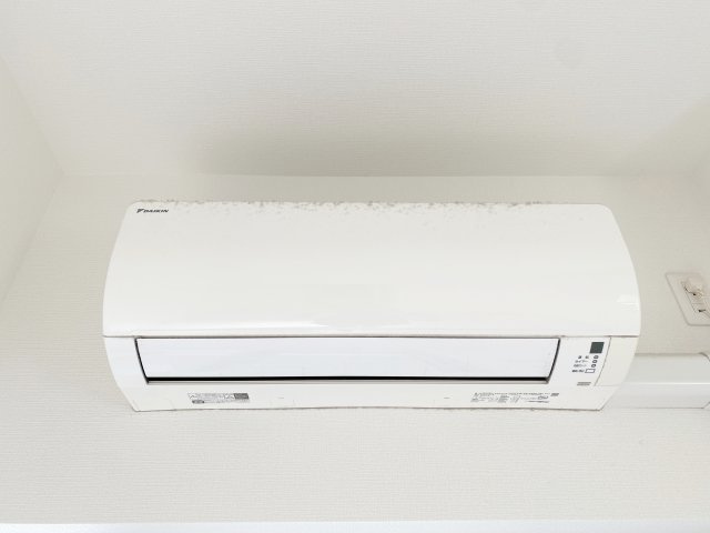 ラコルタ　ブローンのその他