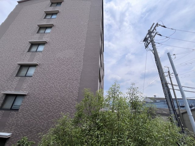 レオネクストエスペランサの展望