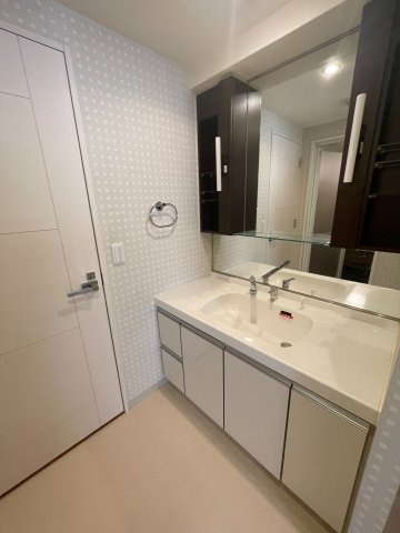 セレッソコート和歌山アクロスの洗面所