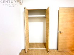 衣類やアクセサリー、小物類の収納が便利で整理整頓がしやすく、部屋の美観を保ちつつ、スペースを最大限に活用できます。衣服のしわやダメージを防ぎ、長持ちさせることができます。