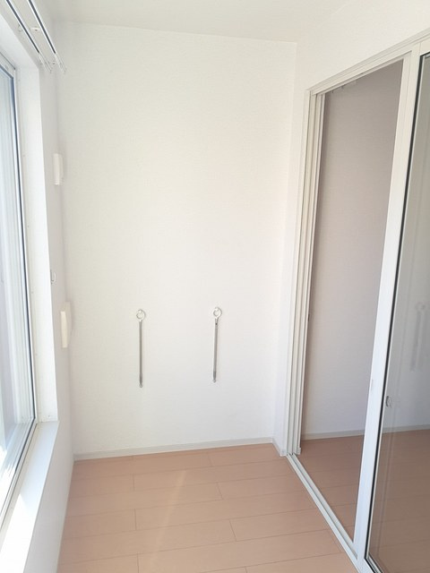 アミ・フランのその他