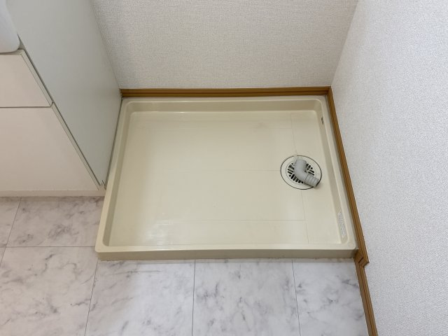 ブライトメアリーⅡのその他