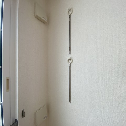 アストライアのその他