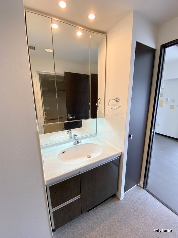 アルグラッドザタワー心斎橋　仲介手数料無料の洗面所