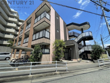 ジョイメニーの画像