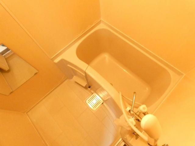 コーポ樹の浴室