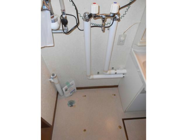 フラワーマンションⅤの洗面所