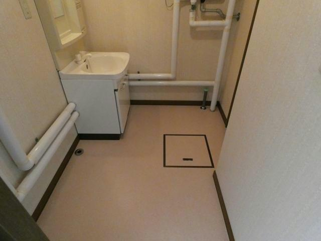 メゾンフローラの洗面所