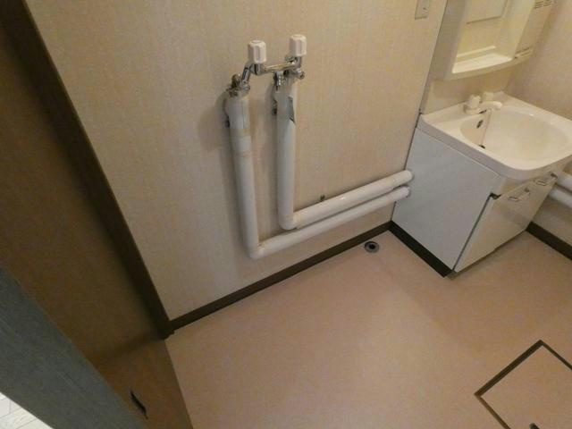 メゾンフローラの洗面所