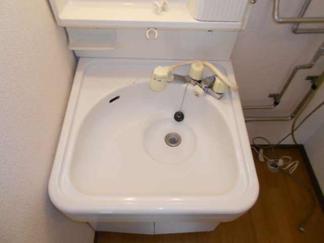 エーコー大楽毛Ａの洗面所