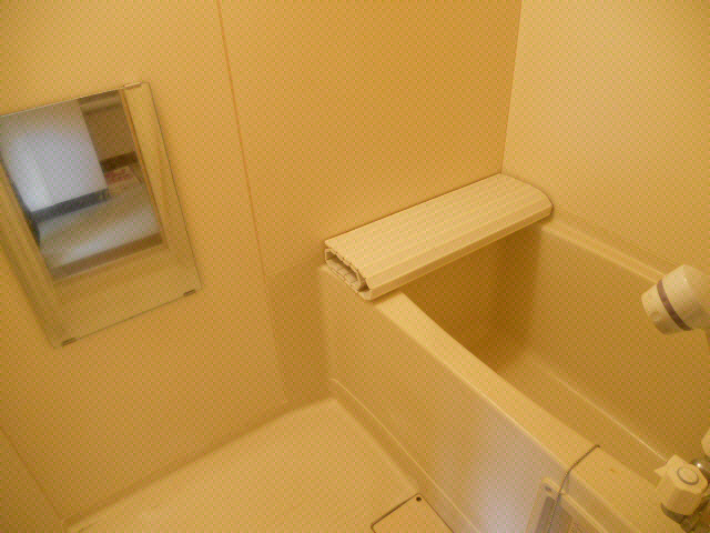 カネスハイツⅡの浴室