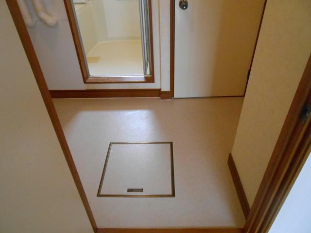 コーポ翠の洗面所