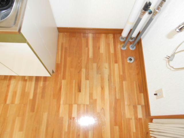 コーポ翠の洗面所