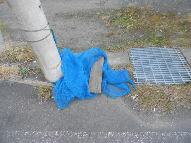 サカエマンションの周辺